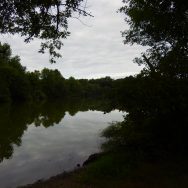 Second Saturday Ride: Milton and Neponset Trail